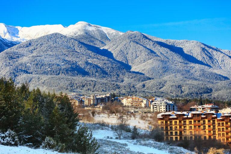 סיורים חינמיים בבנסקו